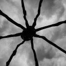 Araña